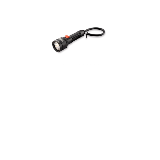 Torcia EYELIGHT II